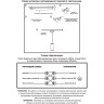 Трековый светильник NOVOTECH ARUM 357692 NV-357692
